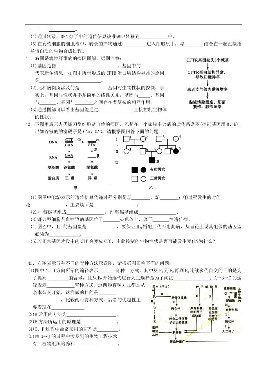 2006-2007年学年度第二学期高中生物遗传与进化综合练习题 人教版 必修2_第5页