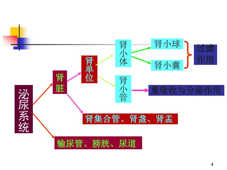 （优质医学）肾动态显像_第4页