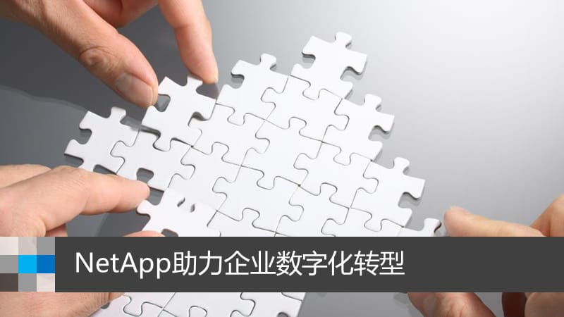 NetApp助力企业数字化转型_第1页