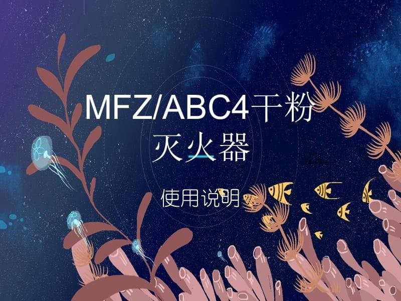 MFZABC4干粉灭火器使用说明_第5页