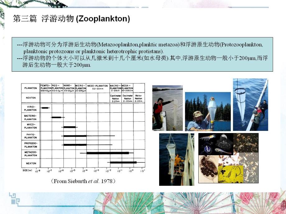 【海洋浮游生物学】8.Protozooplankton (1-23)_第1页