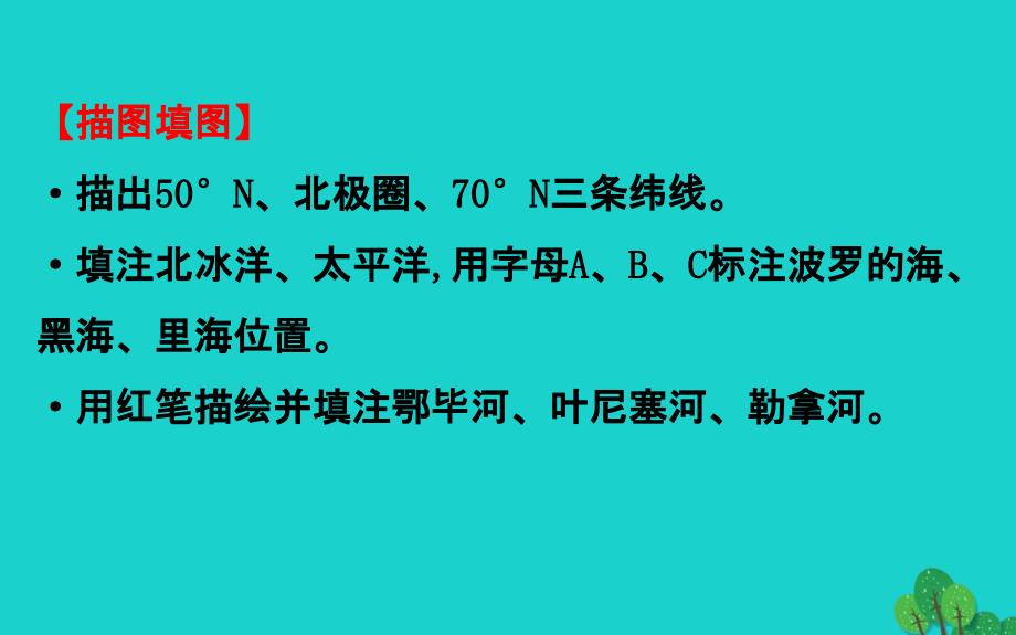 地理七年级下人教版第七章第四节俄罗斯习题PPT课件（2）_第4页