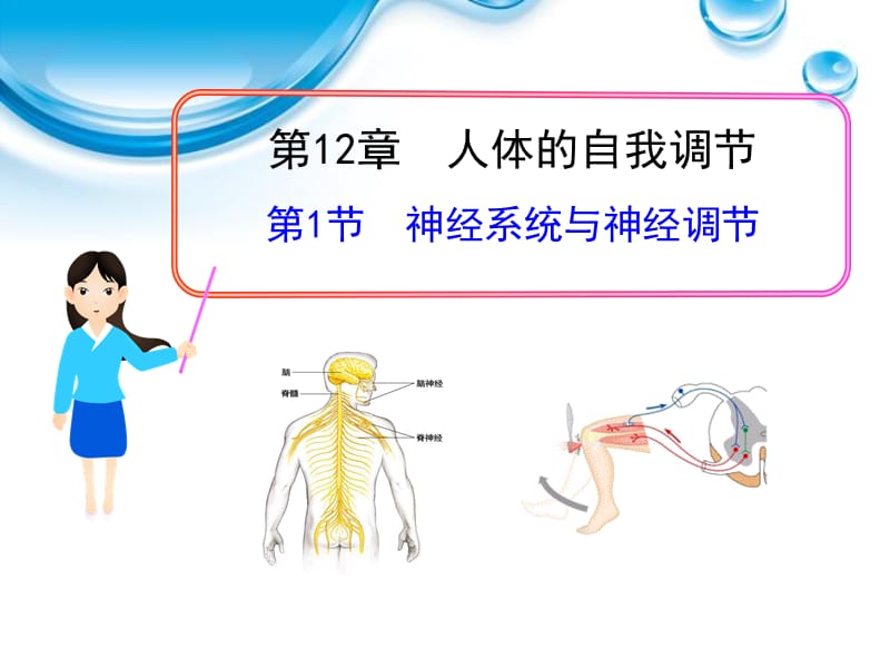 年北师大版七下第12章第1节《神经系统与神经调节》共53张PPT语文PPT课件_第1页