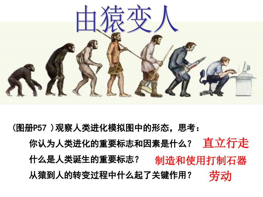 追寻原始先民的足迹新教材公开课PPT课件_第3页