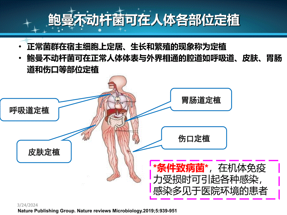 鲍曼不动杆菌PPT课件_第4页