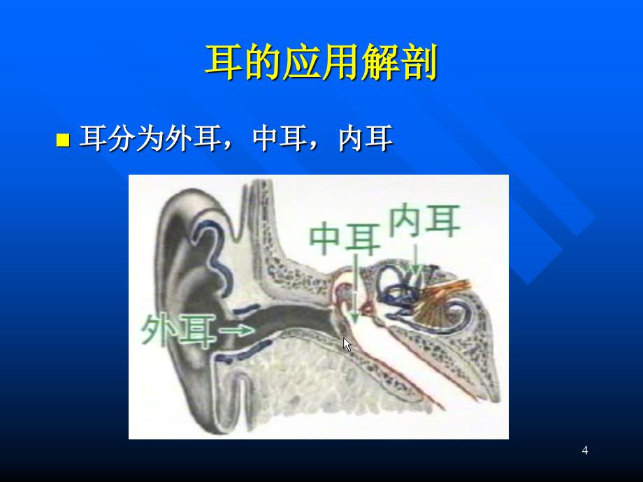 《眼科》教学课件：耳科学（一）_第4页