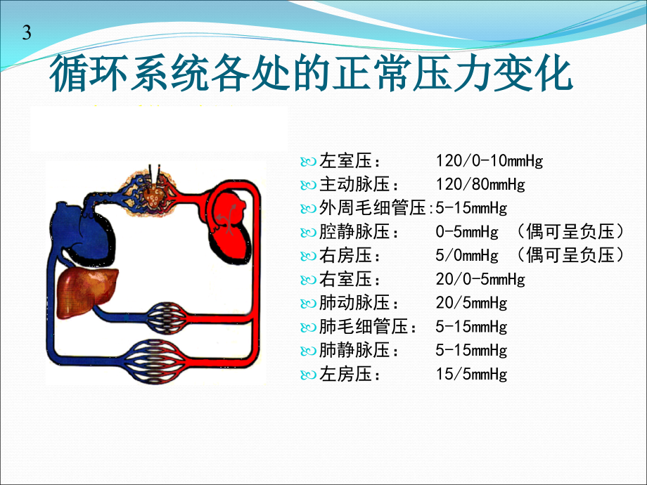 内科学教学课件：心 力 衰 竭_第2页