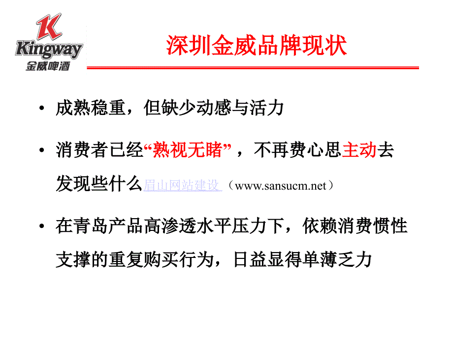 国内某著名啤酒的传播纲要.ppt_第4页