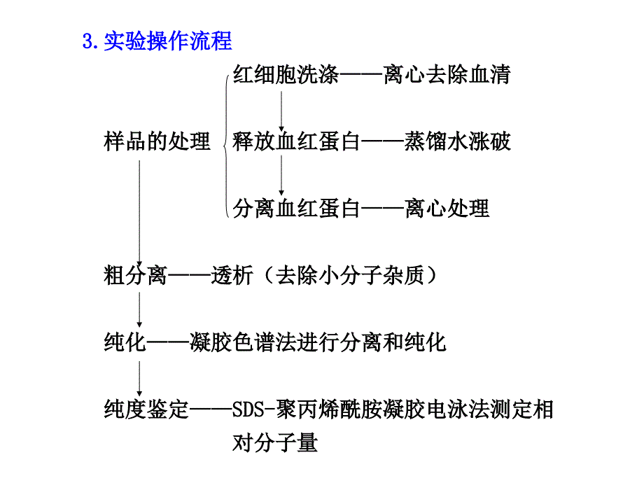 苏教版教学课件苏教2011高考生物大一轮复习选修1第四部分 生物化学与分子生物学技术实践.ppt_第4页