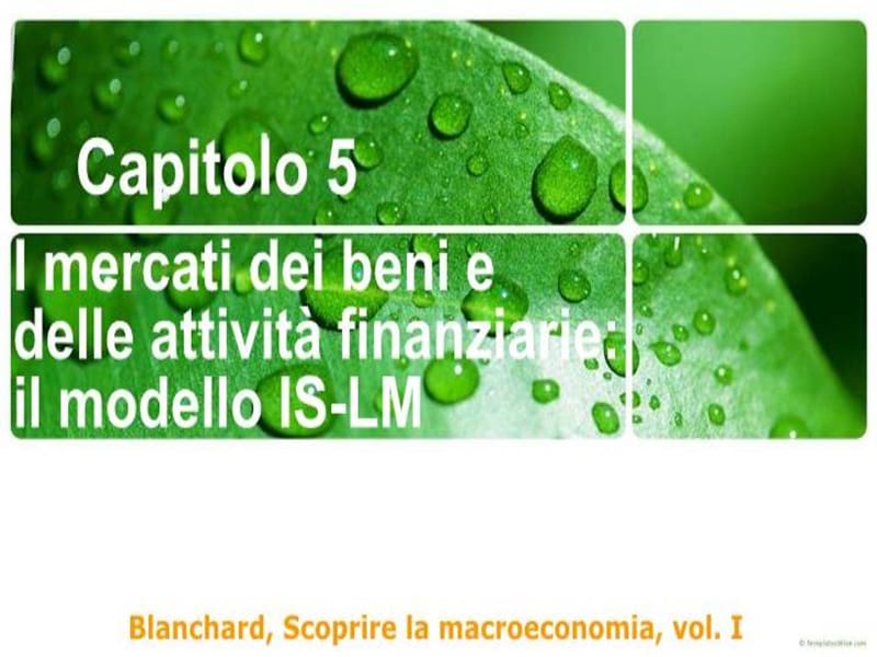 精品PPT课件----I mercati dei beni e delle attivit&ampamp;#224; finanziarie_第2页