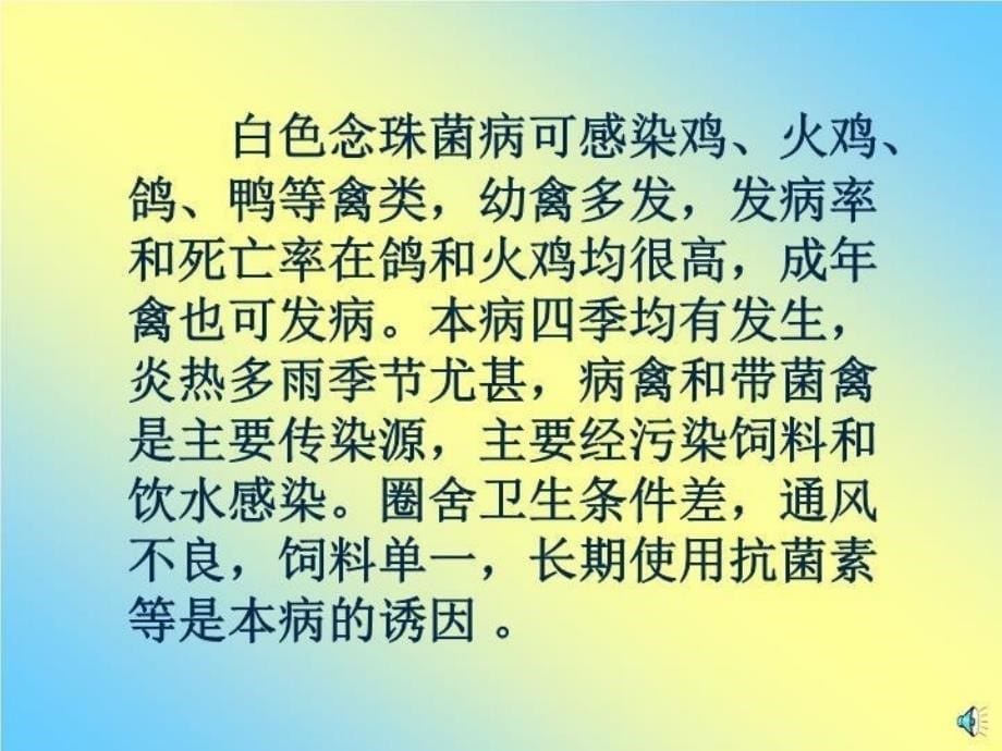 精品-优秀PPT课件--精品-优秀PPT课件--41禽白色念珠菌病_第5页