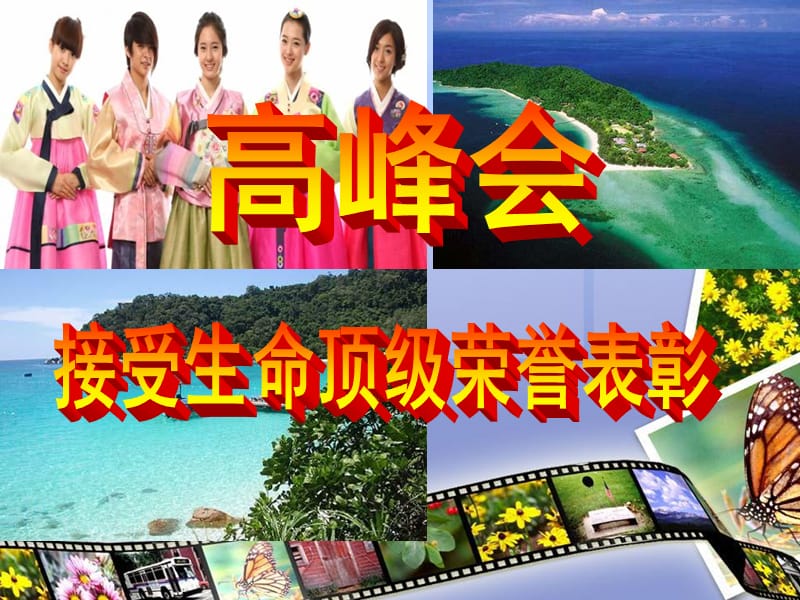 生命河南分公司2011荣誉体系PPT参考课件_第5页