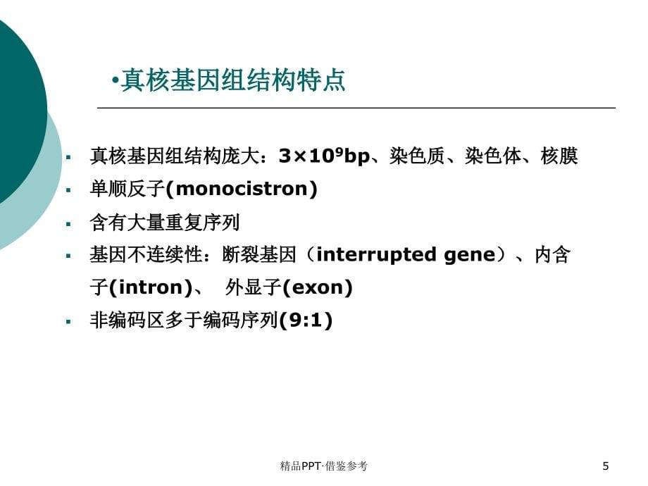 真核生物的基因表达调控[汇编]_第5页