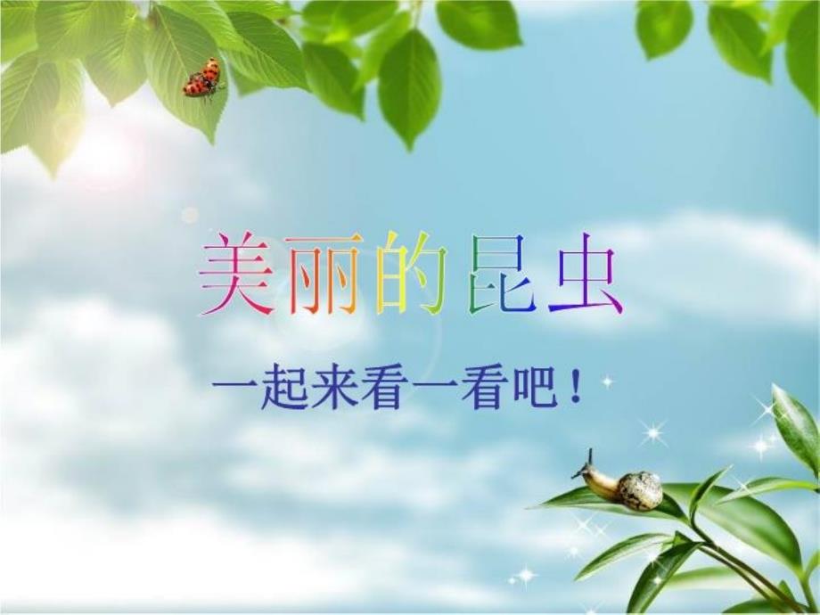 美丽的昆虫 课件（湘美版二年级美术上册）_第4页