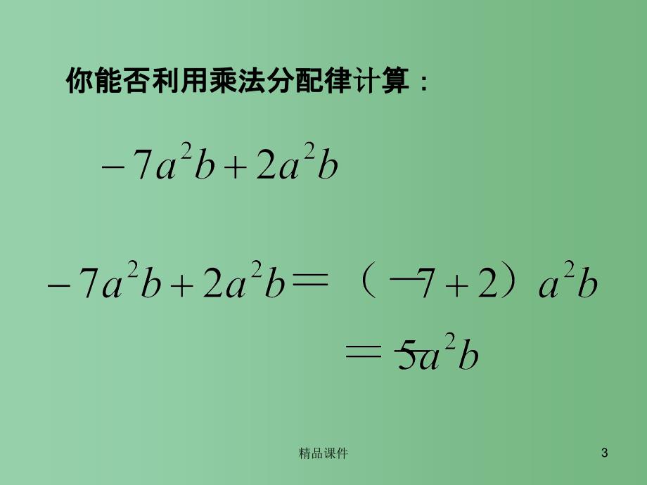 七年级数学上册 第三章 第4框 整式的加减同类项课件 （新版）北师大版_第3页