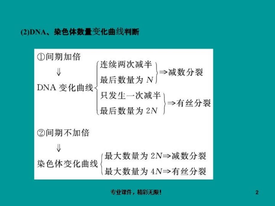 高考生物二轮专题复习课件1细胞的生命历程_第3页