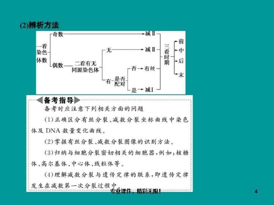 高考生物二轮专题复习课件1细胞的生命历程_第5页