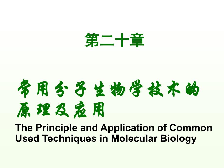 常用分子生物学技术的原理及其应用【生物化学与分子生物学精品】_第2页