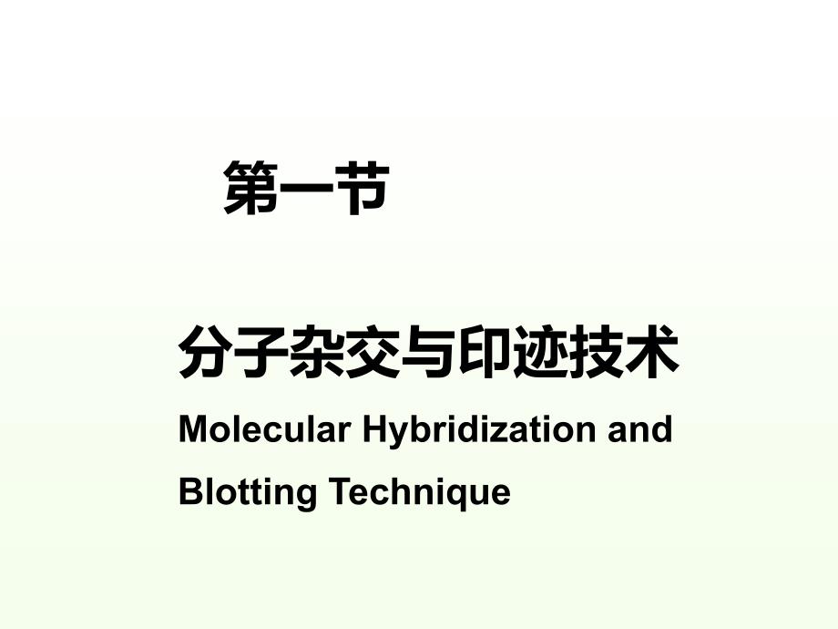 常用分子生物学技术的原理及其应用【生物化学与分子生物学精品】_第3页