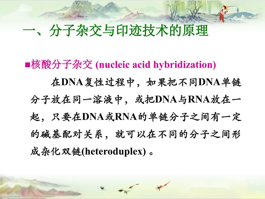 常用分子生物学技术的原理及其应用【生物化学与分子生物学精品】_第4页