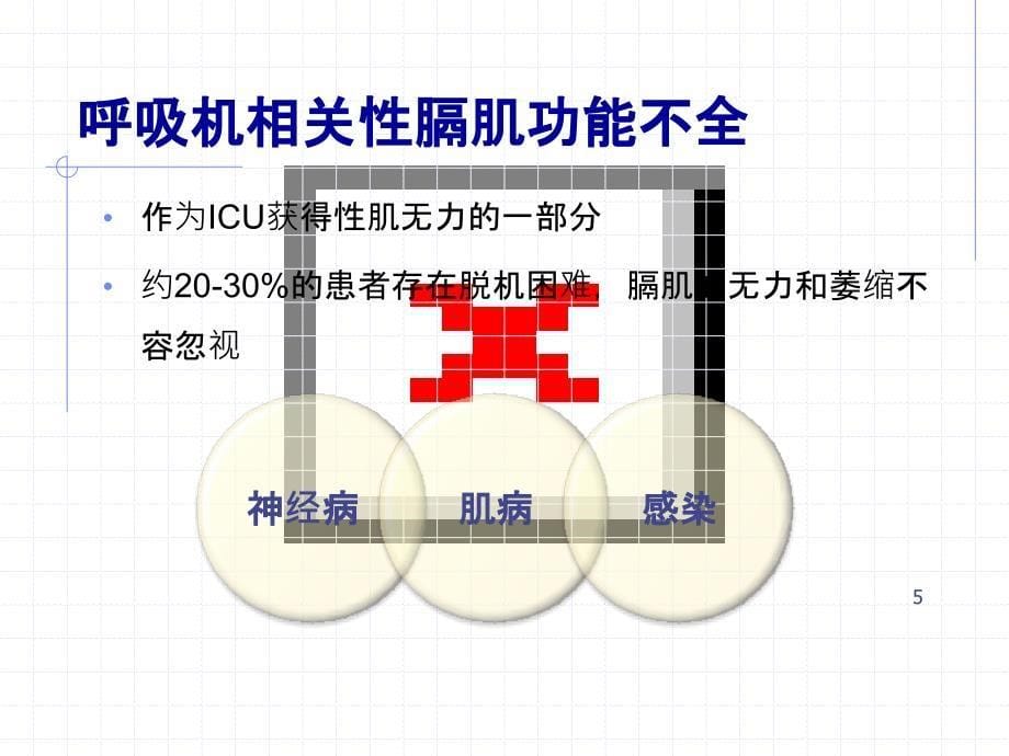 膈肌超声评估PPT课件_2_第5页