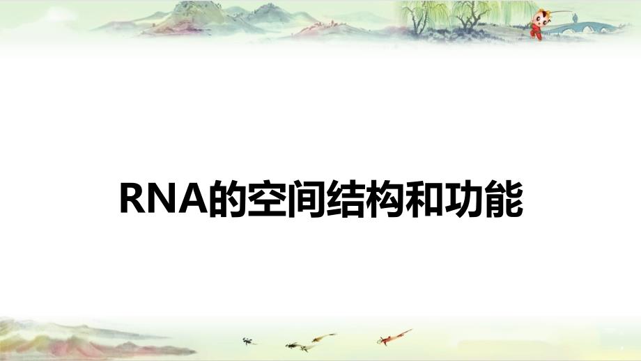 第二章第三节RNA结构与功能【生物化学与分子生物学 9版原版】_第1页