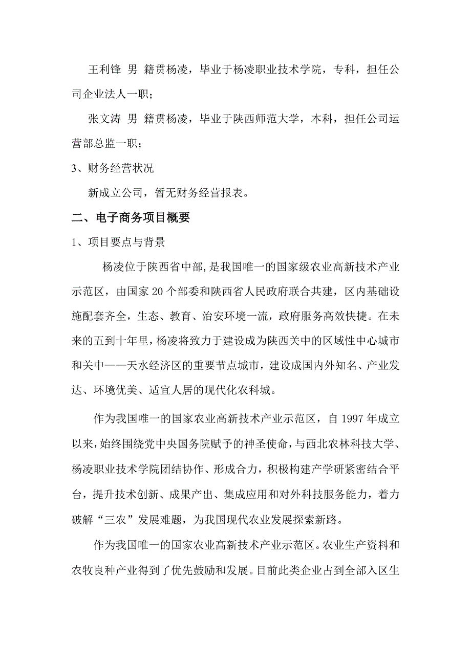 电商项目计划书 .doc_第2页