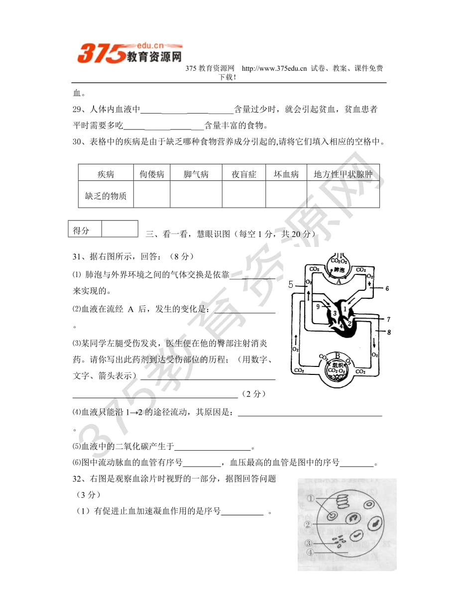 2007-2008学年度七年级生物下学期期中考试试卷.doc_第4页