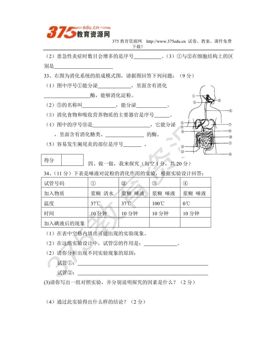 2007-2008学年度七年级生物下学期期中考试试卷.doc_第5页