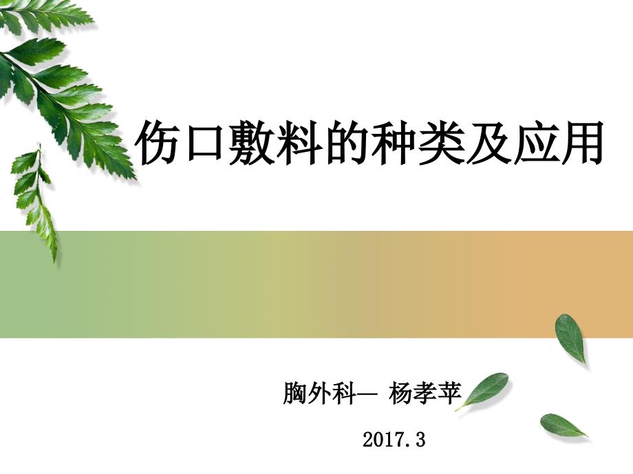 常见敷料种类及应用PPT课件_第1页