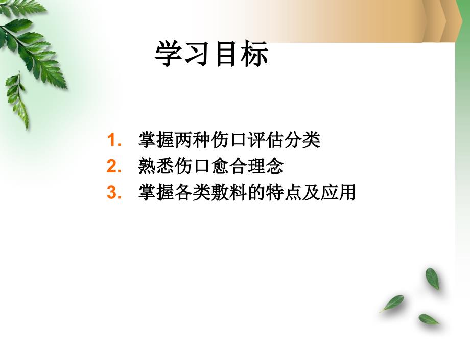 常见敷料种类及应用PPT课件_第2页