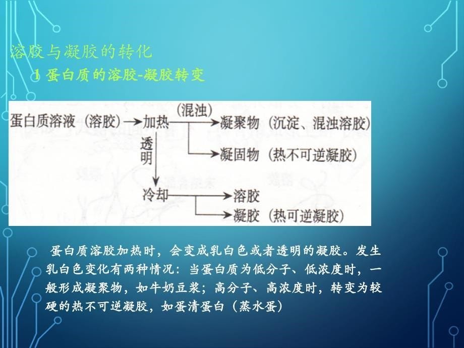 固体和半固体食品的物性课件PPT12_第5页