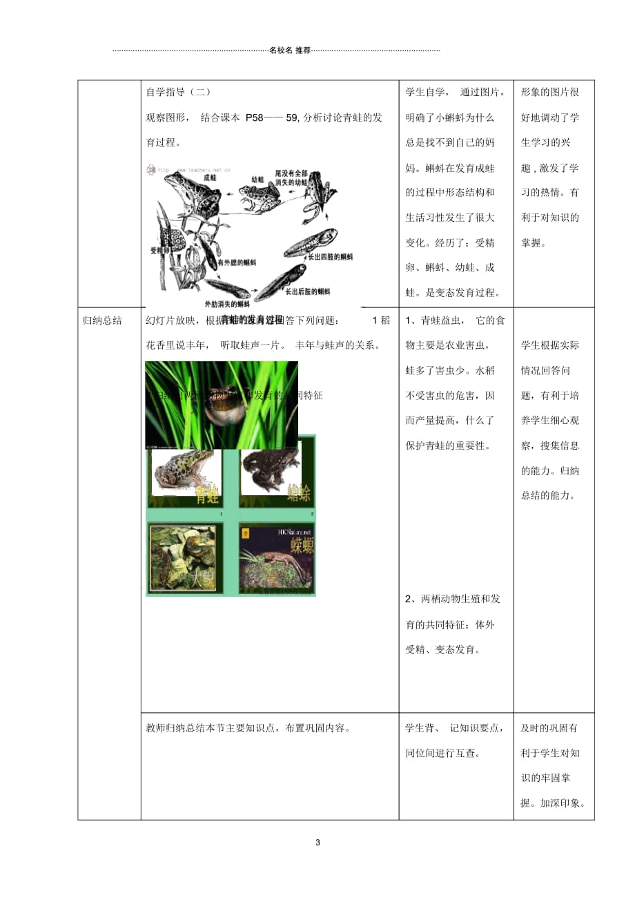 初中八年级生物上册4.2.2两栖动物的生殖和发育名师精选教案1新版济南版_第3页