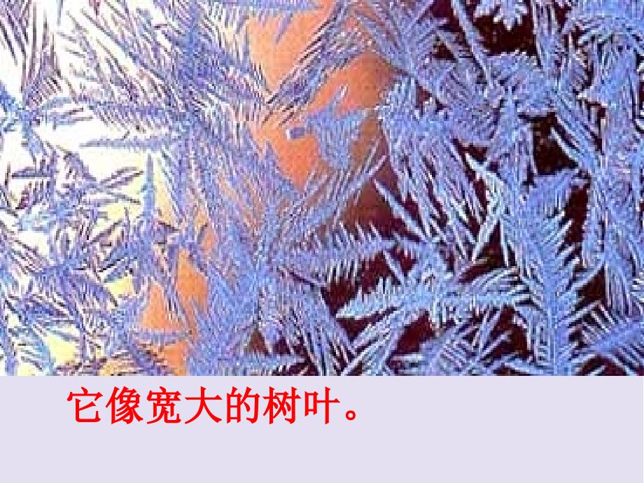 冰花 （苏教版一年级语文上册）课件PPT_第3页