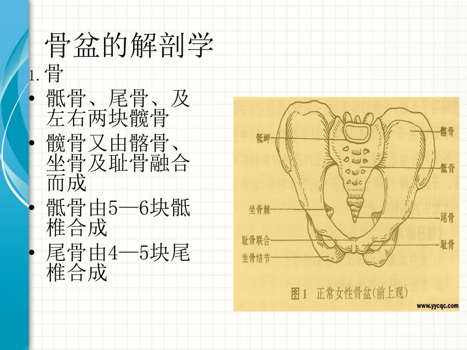 骨盆骨折病人的护理课件PPT12_第2页