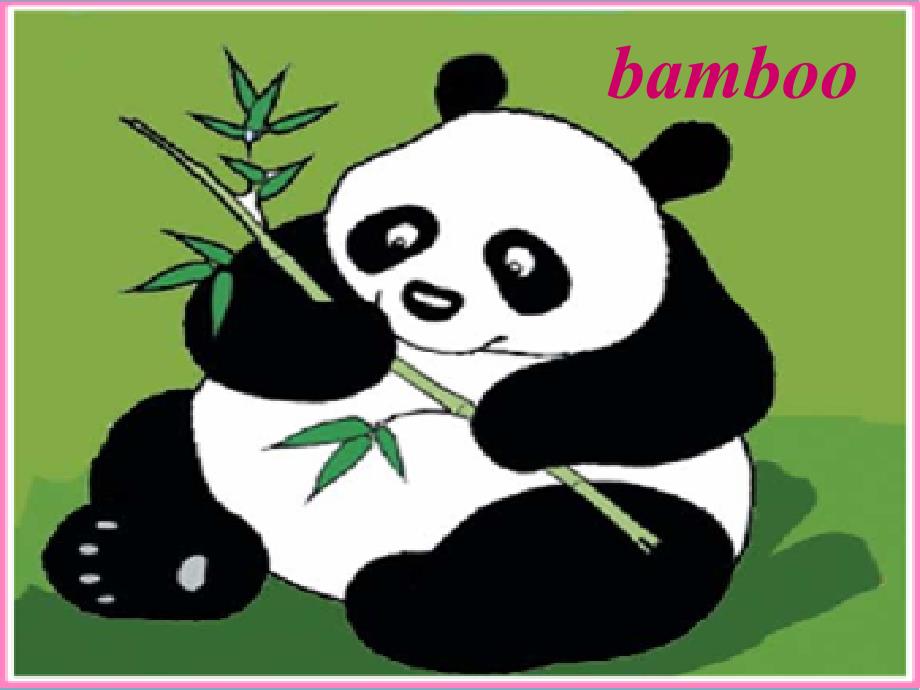 小学外研社六年级英语上册Module 7 unit 2 Pandas love bamboo课件PPT (2)_第3页