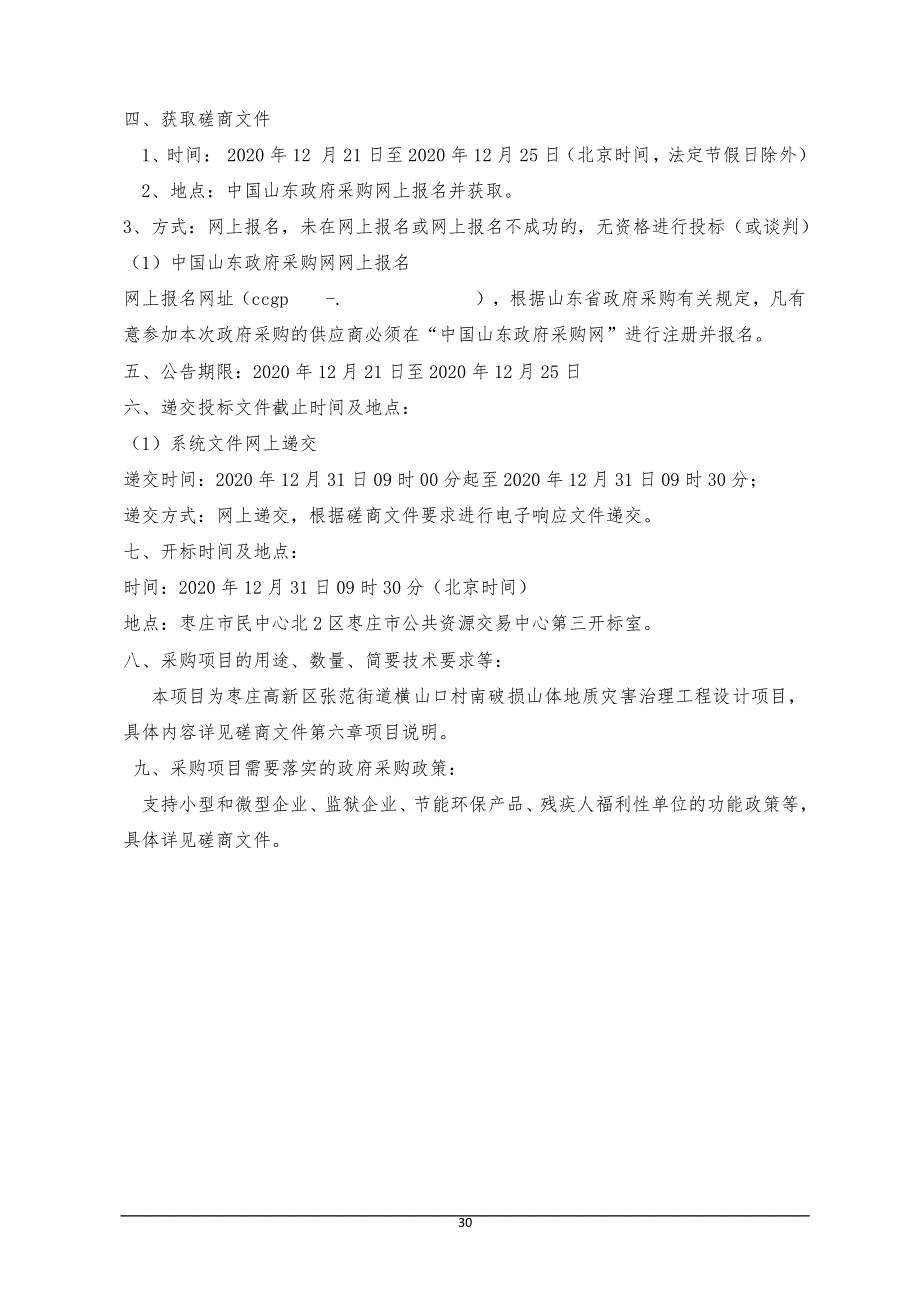 横山口村南破损山体地质灾害治理工程设计项目招标文件_第4页