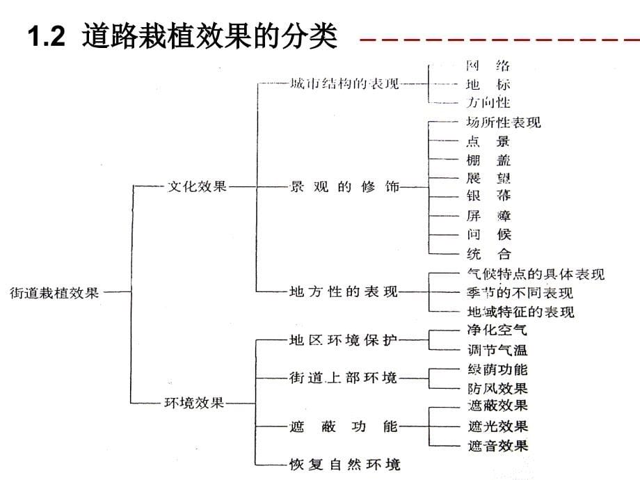 道路绿化栽植设计PPT课件_第5页