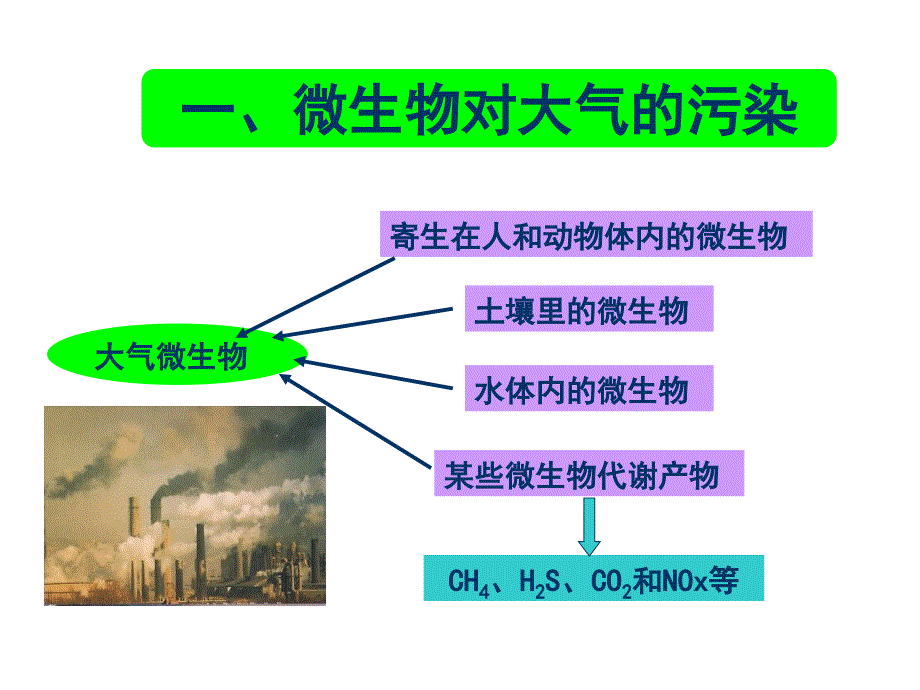 （推荐）国家级精品课程-浙江大学-《微生物学》-第十一章微生物与环境保护完美_第4页