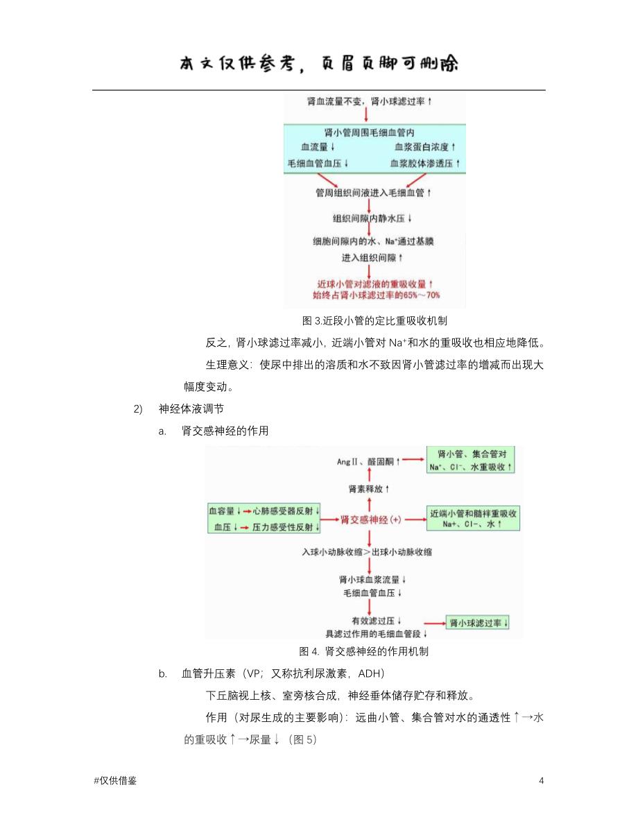 尿生成的影响因素、药物的利尿作用（仅供借鉴）_第4页