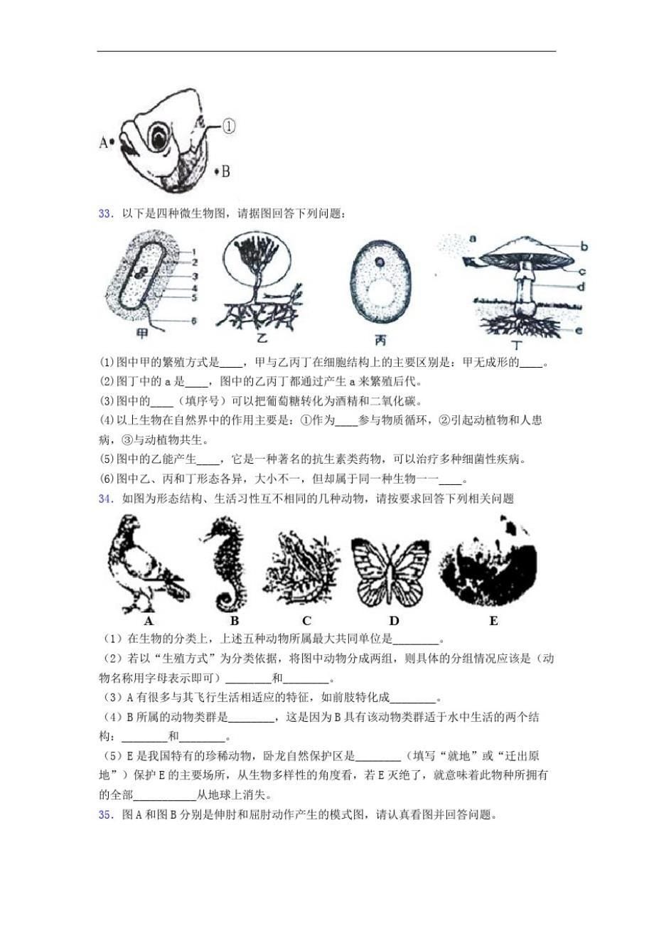 人教部编版八年级上册生物期末测试题doc_第5页