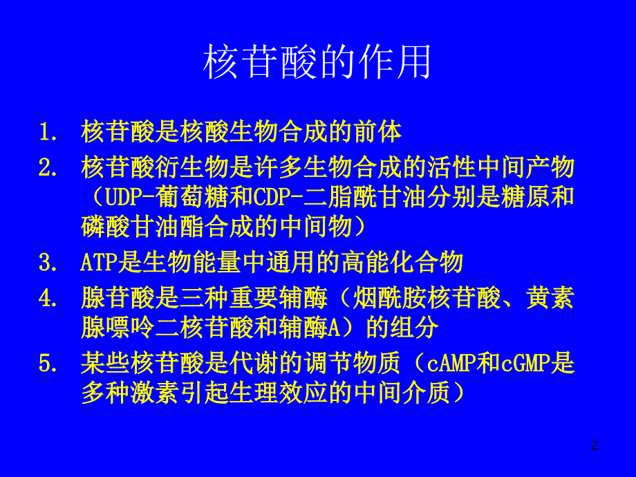 核酸的酶PPT课件_第2页