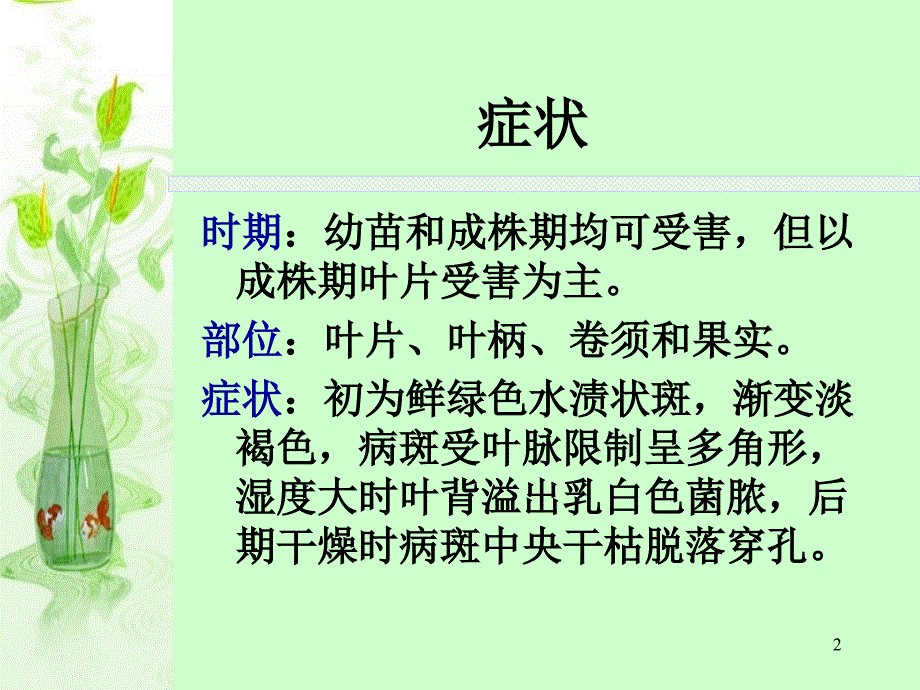 黄瓜细菌性角斑病PPT课件_第2页