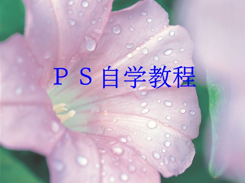 《PS自学教程》_第1页