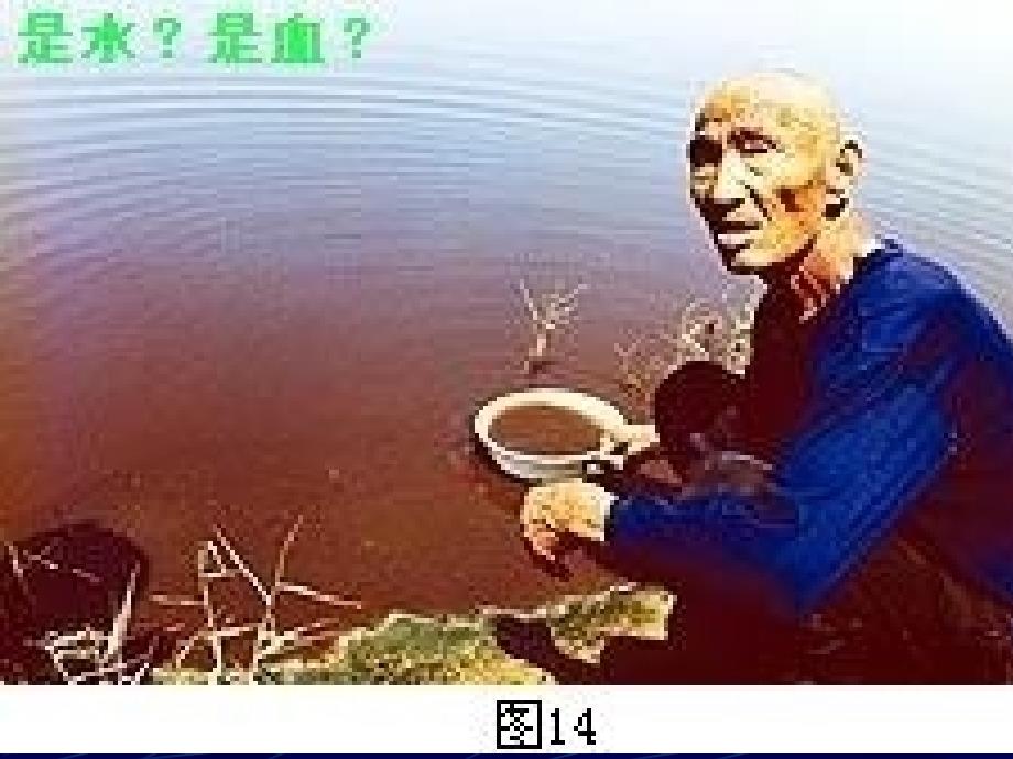 人教版九年级化学第四单元课题1--爱护水资源ppt课件_第4页