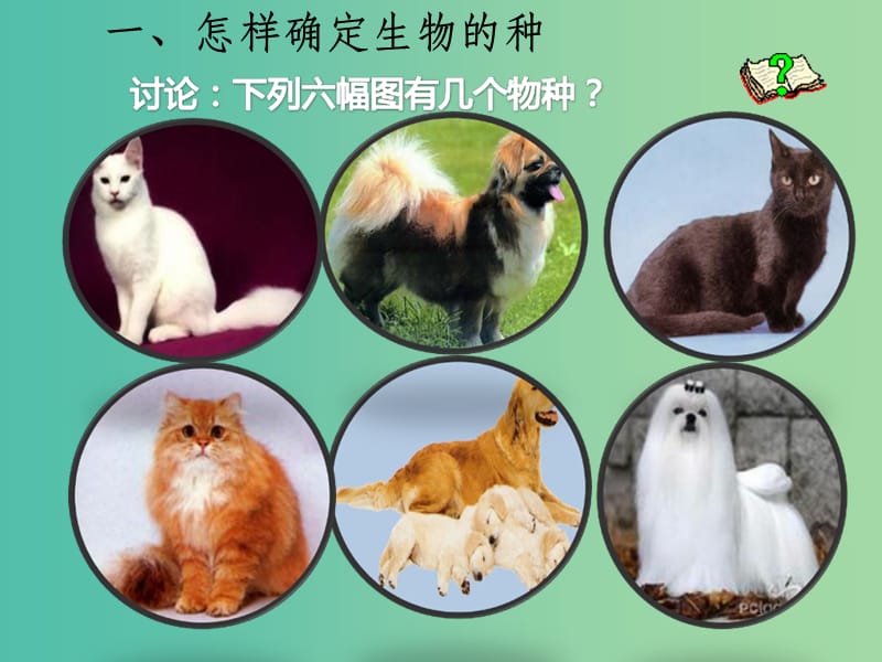 七年级科学上册 3.1《生物物种的多样性》1 华东师大版_第4页