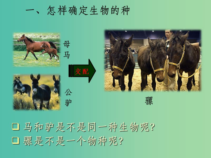 七年级科学上册 3.1《生物物种的多样性》1 华东师大版_第5页