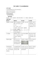 苏科版生物八年级上册 6.15.2 人体内废物的排出 教案 (1)