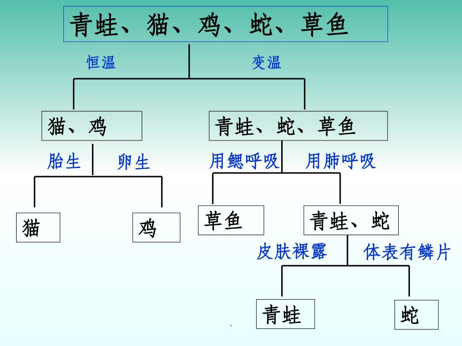 七年级科学上册 2.5《常见的植物》1 浙教版_第1页