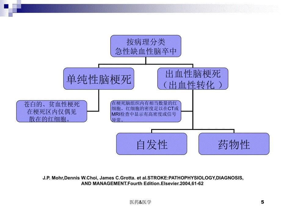 急性缺血性脑卒中的出血转换【医药相关】_第5页